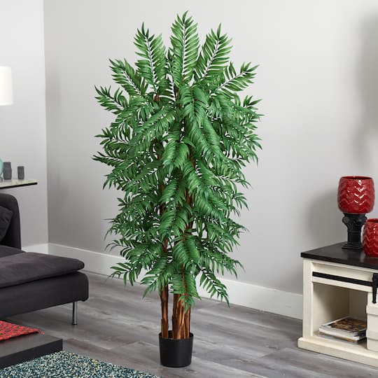 5.5ft. Potted Parlour Palm Tree